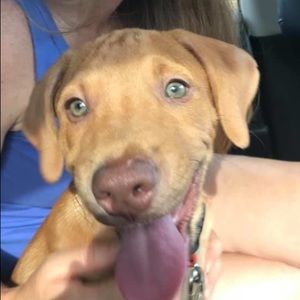 Meet your Posher, Brian